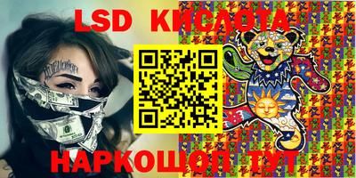 дмт Донской